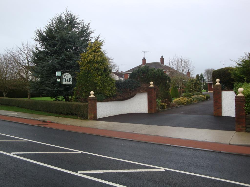 Meadow View B&B Navan Exterior foto